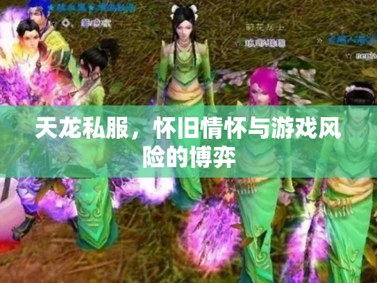 天龙私服，怀旧情怀与游戏风险的博弈