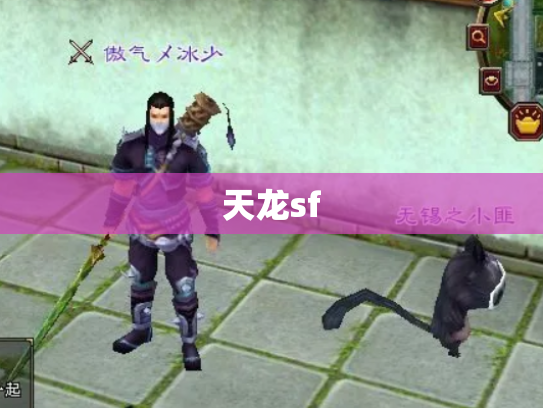 天龙sf