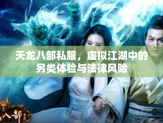天龙八部私服，虚拟江湖中的另类体验与法律风险
