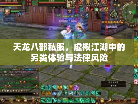天龙八部私服，虚拟江湖中的另类体验与法律风险