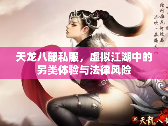 天龙八部私服，虚拟江湖中的另类体验与法律风险