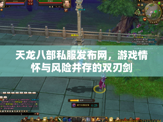 天龙八部私服发布网，游戏情怀与风险并存的双刃剑