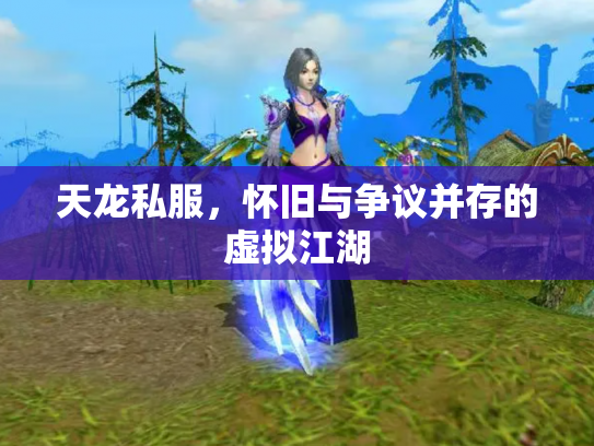 天龙私服，怀旧与争议并存的虚拟江湖