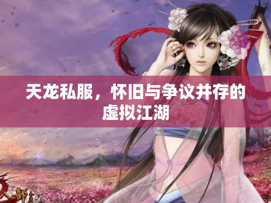 天龙私服，怀旧与争议并存的虚拟江湖