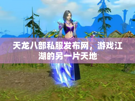 天龙八部私服发布网，游戏江湖的另一片天地