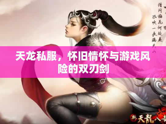 天龙私服，怀旧情怀与游戏风险的双刃剑