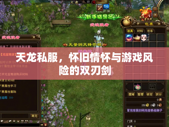 天龙私服，怀旧情怀与游戏风险的双刃剑
