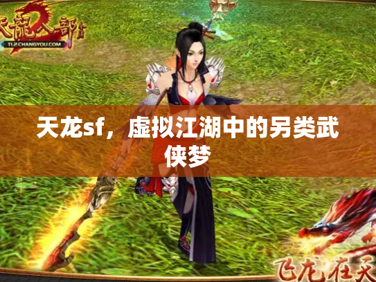天龙sf，虚拟江湖中的另类武侠梦
