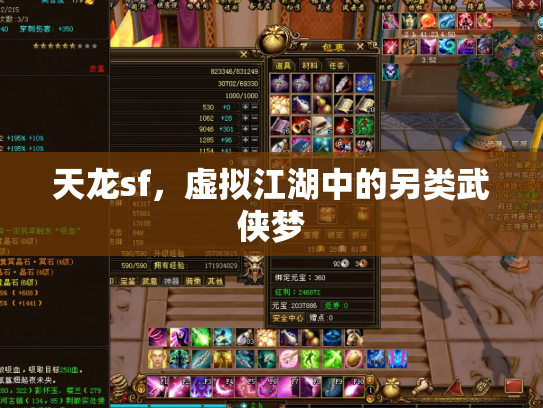 天龙sf，虚拟江湖中的另类武侠梦