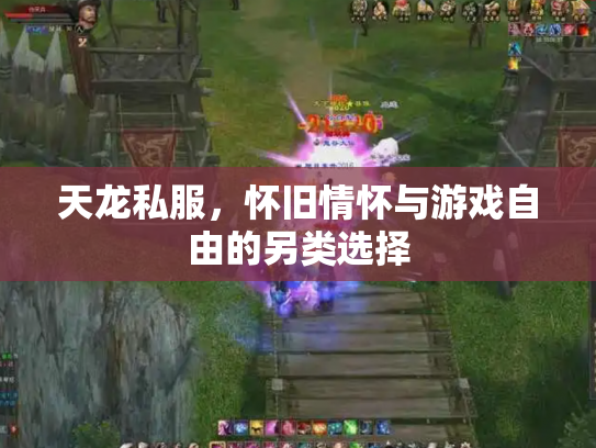 天龙私服，怀旧情怀与游戏自由的另类选择