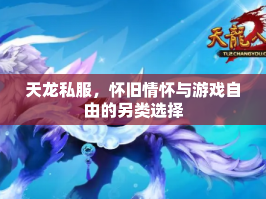 天龙私服，怀旧情怀与游戏自由的另类选择