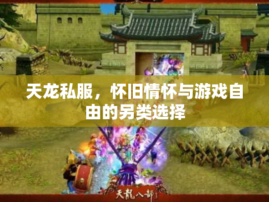 天龙私服，怀旧情怀与游戏自由的另类选择