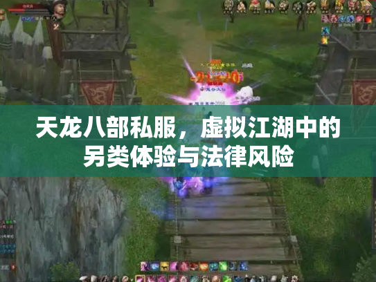 天龙八部私服，虚拟江湖中的另类体验与法律风险