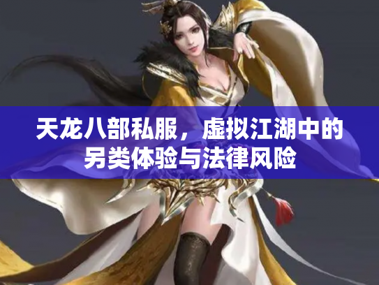 天龙八部私服，虚拟江湖中的另类体验与法律风险