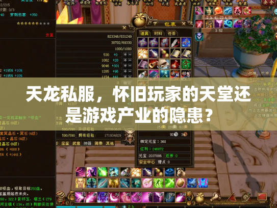 天龙私服，怀旧玩家的天堂还是游戏产业的隐患？