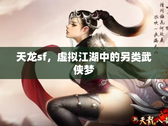 天龙sf，虚拟江湖中的另类武侠梦
