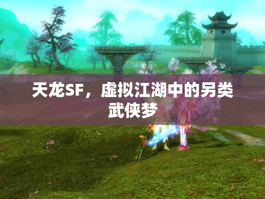 天龙SF，虚拟江湖中的另类武侠梦