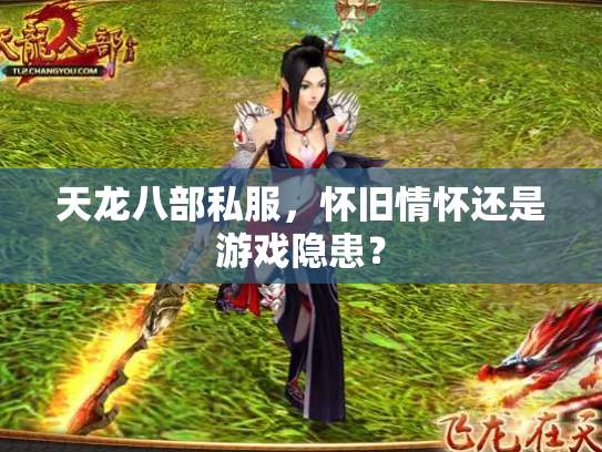 天龙八部私服，怀旧情怀还是游戏隐患？