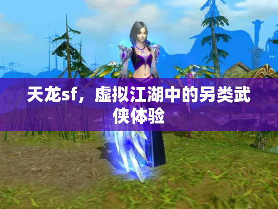 天龙sf，虚拟江湖中的另类武侠体验