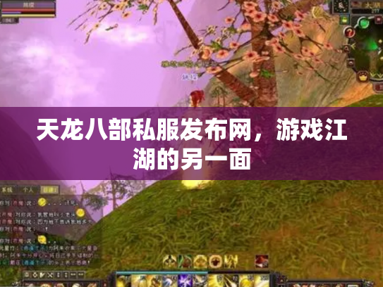 天龙八部私服发布网，游戏江湖的另一面
