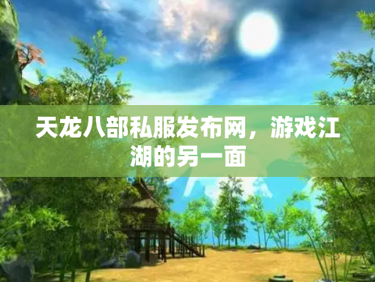天龙八部私服发布网，游戏江湖的另一面