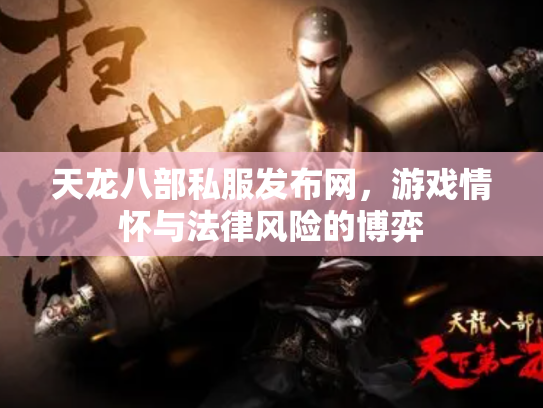 天龙八部私服发布网，游戏情怀与法律风险的博弈