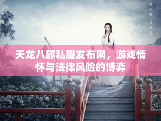 天龙八部私服发布网，游戏情怀与法律风险的博弈