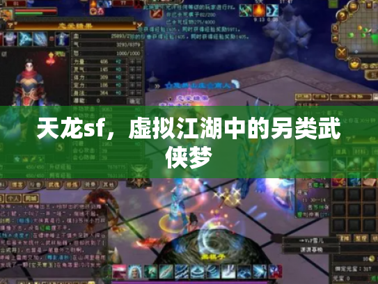 天龙sf，虚拟江湖中的另类武侠梦