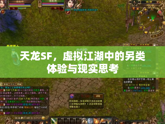 天龙SF，虚拟江湖中的另类体验与现实思考