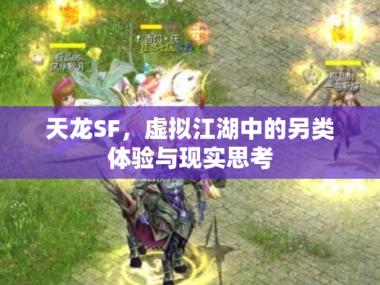 天龙SF，虚拟江湖中的另类体验与现实思考
