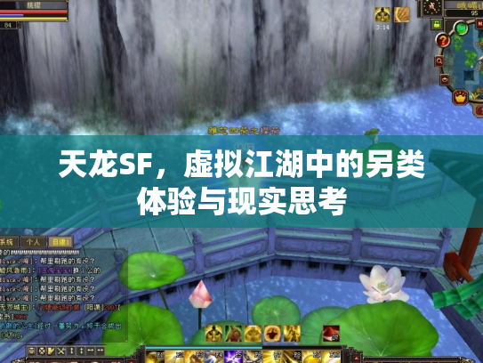 天龙SF，虚拟江湖中的另类体验与现实思考