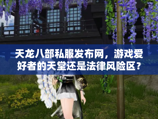 天龙八部私服发布网，游戏爱好者的天堂还是法律风险区？