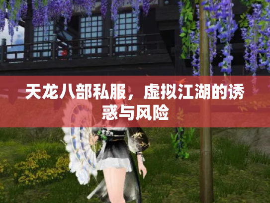 天龙八部私服，虚拟江湖的诱惑与风险