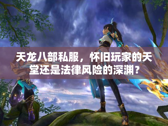天龙八部私服，怀旧玩家的天堂还是法律风险的深渊？