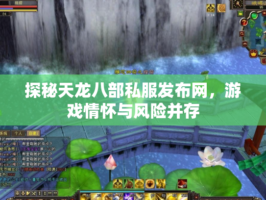 探秘天龙八部私服发布网，游戏情怀与风险并存