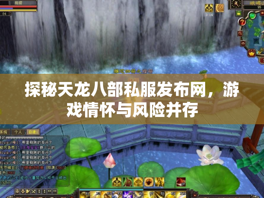 探秘天龙八部私服发布网，游戏情怀与风险并存