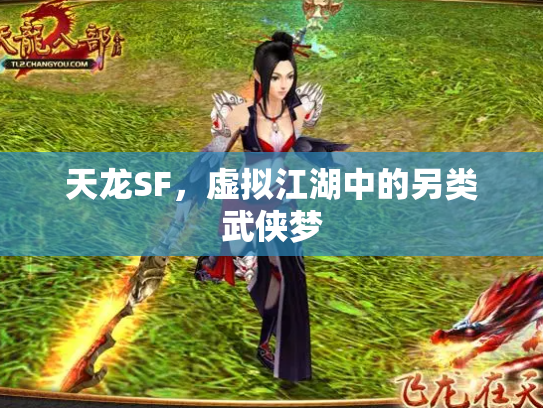 天龙SF，虚拟江湖中的另类武侠梦