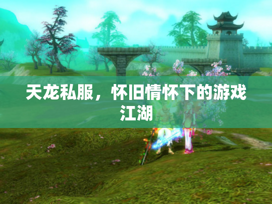 天龙私服，怀旧情怀下的游戏江湖