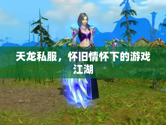 天龙私服，怀旧情怀下的游戏江湖