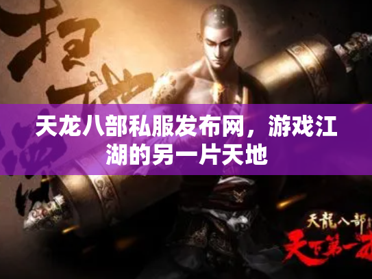天龙八部私服发布网，游戏江湖的另一片天地