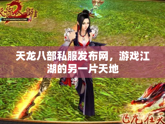 天龙八部私服发布网，游戏江湖的另一片天地