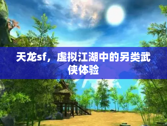 天龙sf，虚拟江湖中的另类武侠体验