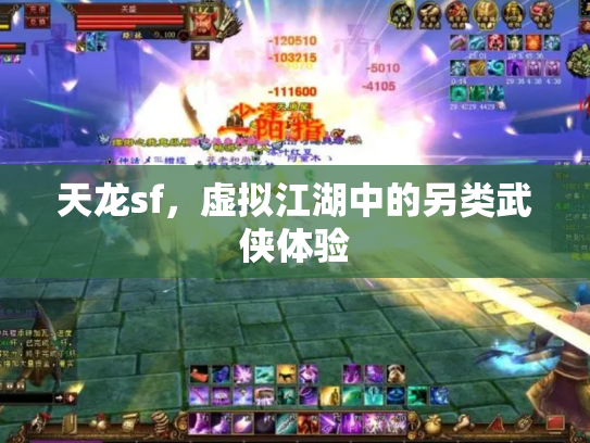 天龙sf，虚拟江湖中的另类武侠体验