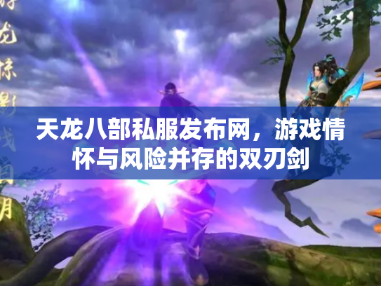 天龙八部私服发布网，游戏情怀与风险并存的双刃剑