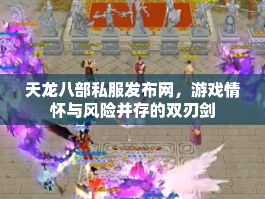 天龙八部私服发布网，游戏情怀与风险并存的双刃剑