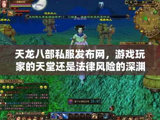 天龙八部私服发布网，游戏玩家的天堂还是法律风险的深渊？