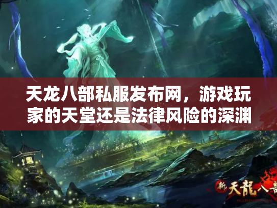 天龙八部私服发布网，游戏玩家的天堂还是法律风险的深渊？