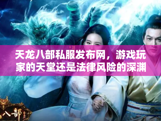 天龙八部私服发布网，游戏玩家的天堂还是法律风险的深渊？