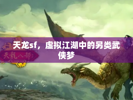 天龙sf，虚拟江湖中的另类武侠梦