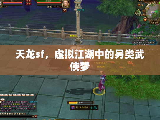 天龙sf，虚拟江湖中的另类武侠梦